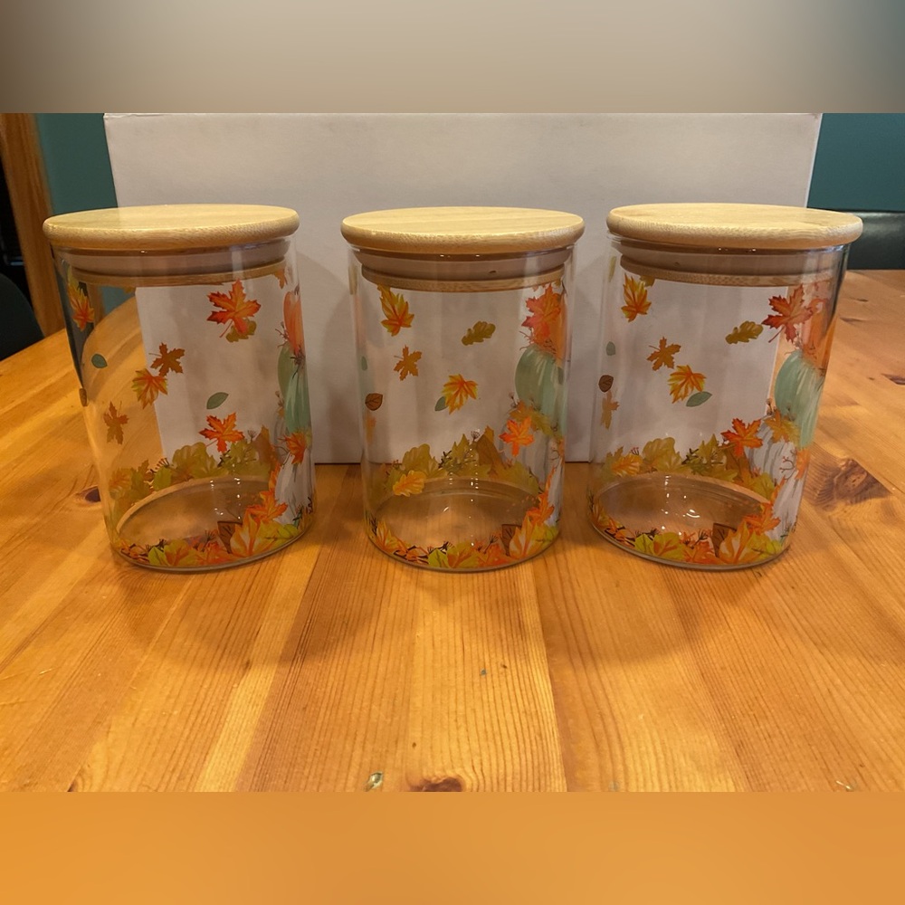 PUMPKIN CANISTERS WITH LIDS GLASS NEW FALL DECOR STORAGE 3 TEAL WHITE ORANGE - Picture 5 of 11